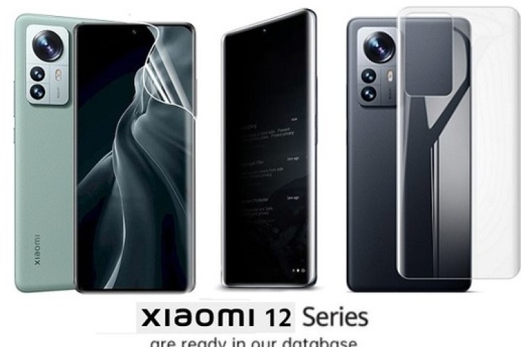 Cek Spesifikasi Juga Harga Smartphone Xiaomi 12 Series