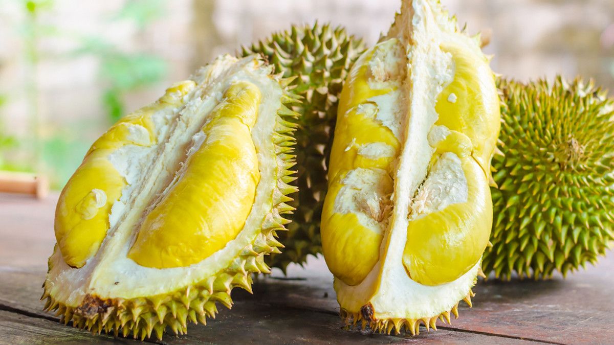 Simak Manfaat Buah Durian Bagi Kesehatan Tubuh