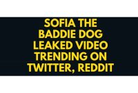 Link Full Video Sofiathebaddie Dog Video Twitter