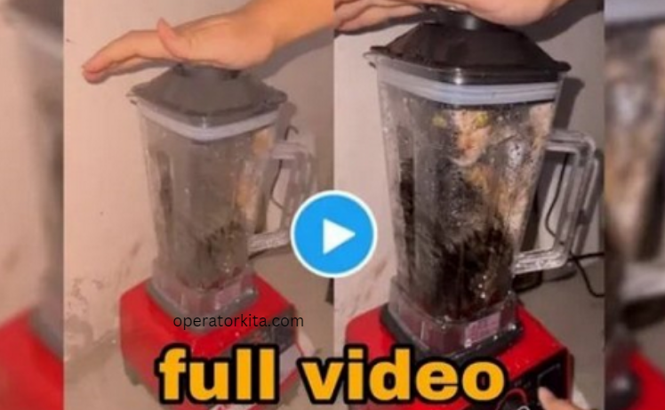 cat blender video full
