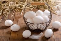 Segudang Manfaat Telur Ayam Kampung untuk Pria